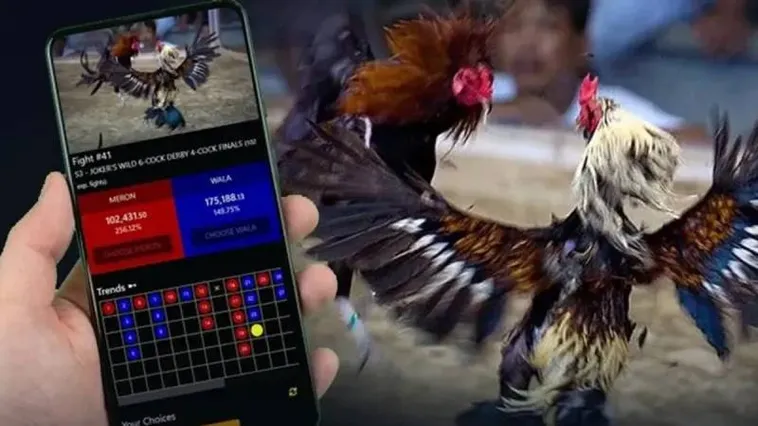 Bùng Nổ Đấu Trường Đá Gà 566Bet Với Hàng Trăm Trận Đấu Mỗi Ngày 1 Bùng Nổ Đấu Trường Đá Gà 566Bet Với Hàng Trăm Trận Đấu Mỗi Ngày