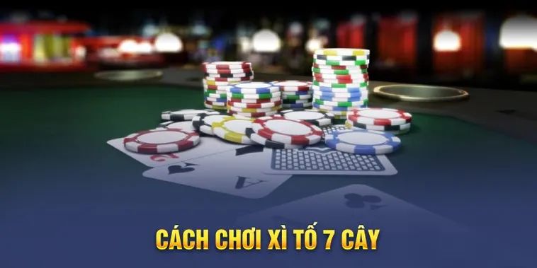 Bật Mí Chiến Thuật Chơi Xì Tố Tại 566Bet Bất Bại Từ Cao Thủ
